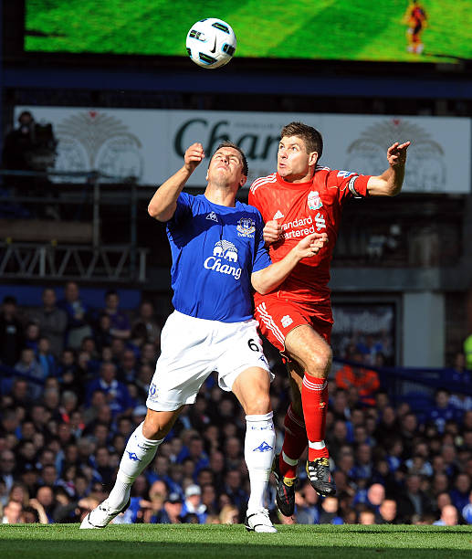 一个辉煌的 一个辉煌的