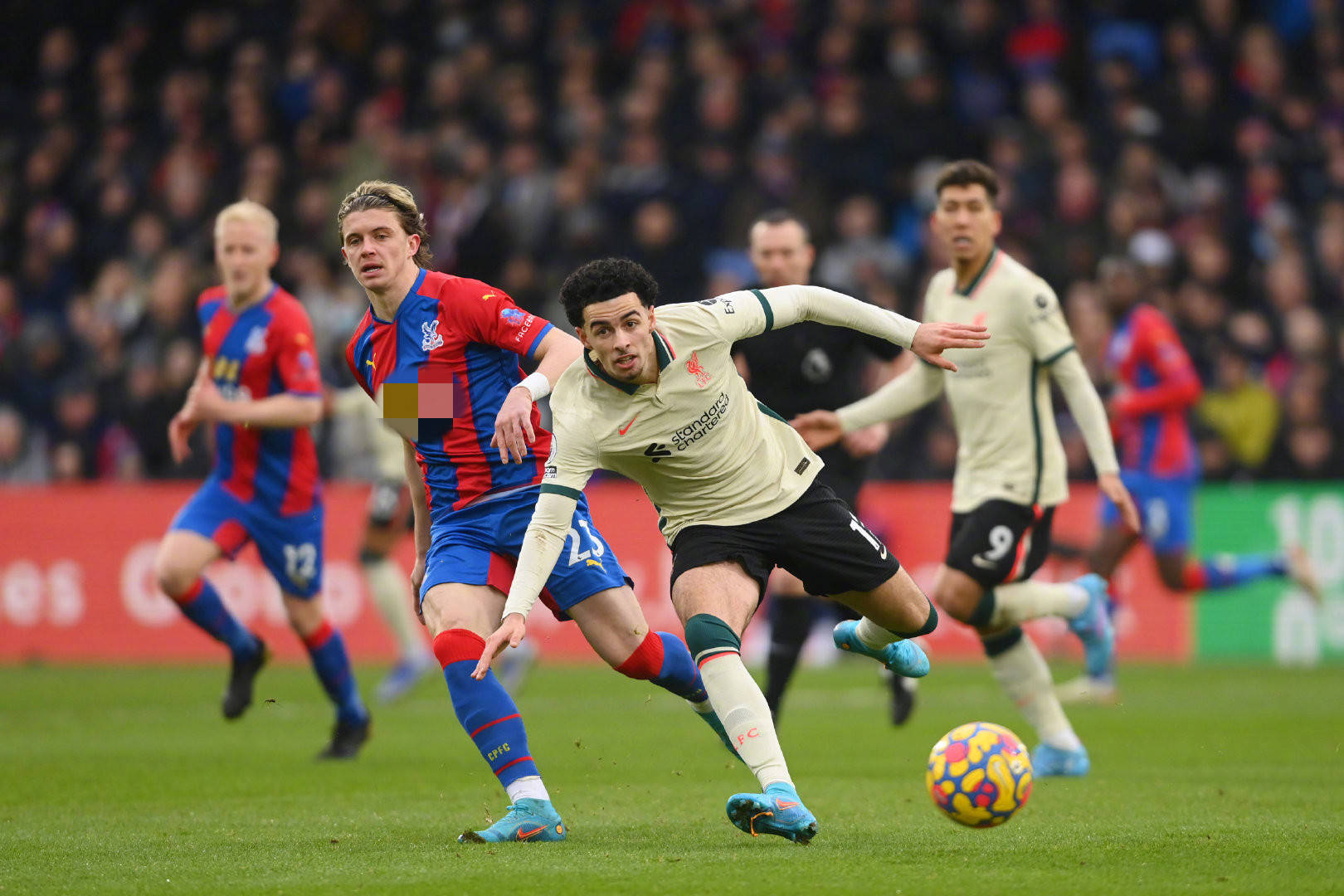 未来走势与 未来走势与